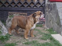 /album/fotogaleria/mama-230-jpg/